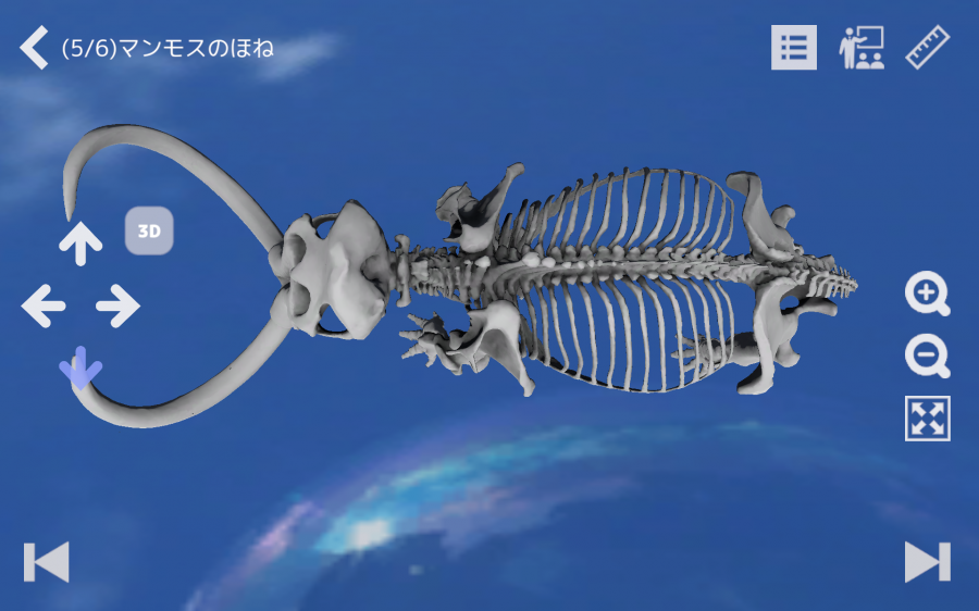 その他_3dミュージアム.png その他_3dミュージアム.png